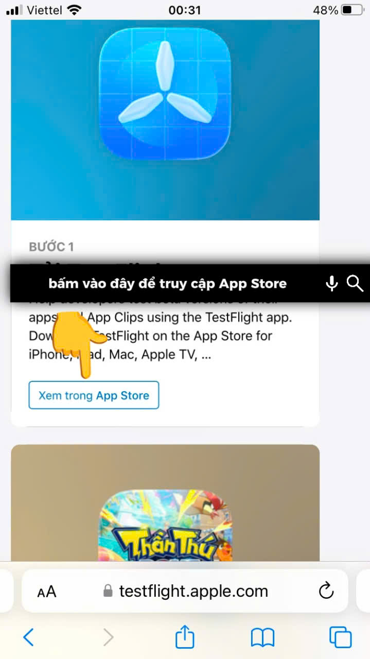 Trang testflight.apple.com với nút View in App Store